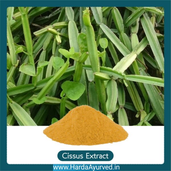 हड़जोड़ कैप्सूल (Cissus Capsule) 60 कैप्सुल की पैकिंग