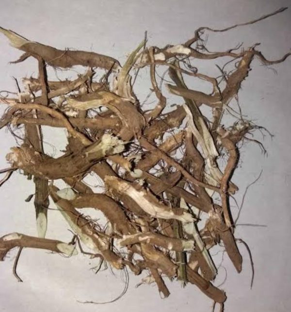 अपामार्ग (Apamarg )-लटजीरा की जड़ 100 ग्राम