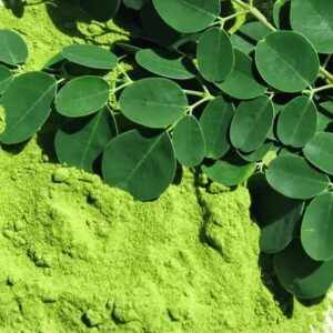 मोरिंगा पाउडर - Moringa Powder 200 GM