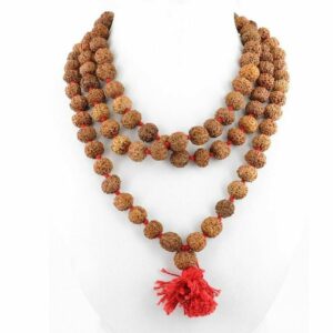 सिद्ध पंचमुखी रुद्राक्ष माला - Panchmukhi Rudraksh mala
