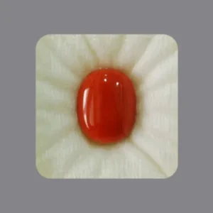 Natural Red Coral Stone for confidence, ambition, and emotional stability. Explore 100% Certified & Original Moonga Gemstones. Order Now at Harda Ayurved- मूंगा पत्थर असली