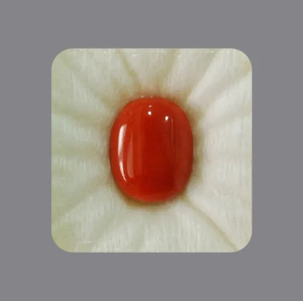 Natural Red Coral Stone for confidence, ambition, and emotional stability. Explore 100% Certified & Original Moonga Gemstones. Order Now at Harda Ayurved- मूंगा पत्थर असली