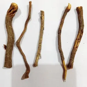 विधारा की जड़- Vidhara Root,For Budh Grah Shanti(Pack Of 1- 10GM)
