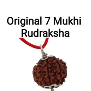 Sidhh 7 mukhi rudraksha with silver cap Original