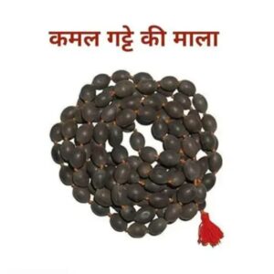 Original Kamal Gatta Mala | Lotus Seeds Prayer Rosary Japa | 108 Beads Count Jaap Mala