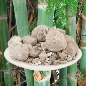 वंशलोचन-Banslochan Asli-Tabasheer-Bamboo Silica 100 GM