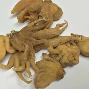 सलाम पंजा - Salam panja- Salab panja 100 Gram